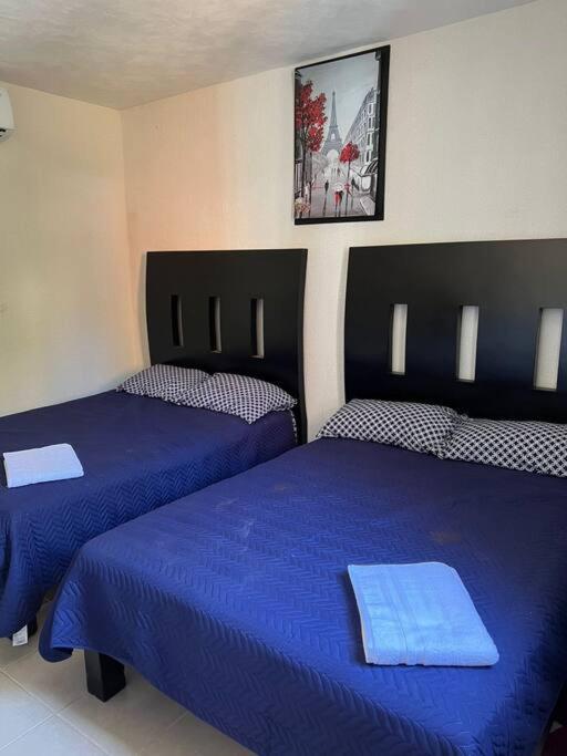 New Home Sol, Mar Y Arena Ixtapa. Ixtapa  Εξωτερικό φωτογραφία